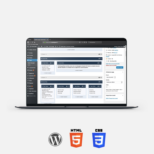 CMS-WordPress