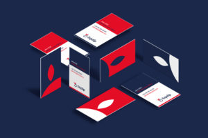 Cartes de visite Sqalp
