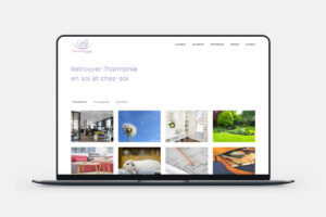 Création de site vitrine WordPress