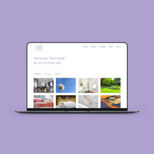 Création d'un site web axé Feng shui, géobiologie et chat guérisseur