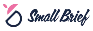 Logo Small Brief : Studio graphique basé à Nantes